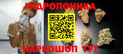 прущие грибы Бугуруслан