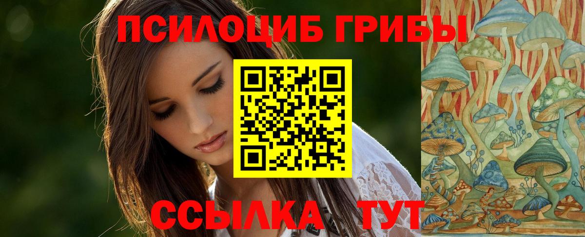 Сочи  сколько стоит  Вход с VPN  Псилоцибиновые грибы Psilocybe 
