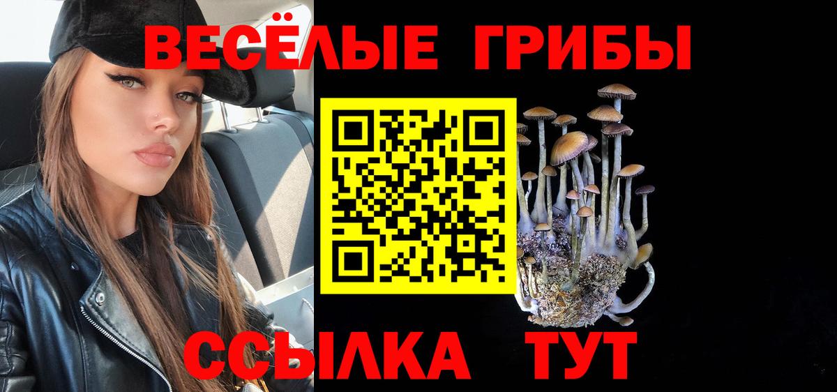 Купить наркоту  APVP СОЛЬ кристаллы  Канабис  Меф кристаллы  КОКАИН  Метамфетамин  Сочи  Вход с VPN  ГАШ 